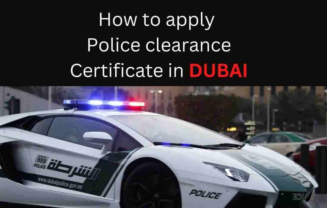 How to apply police clearance certificate online in Dubai,U.A.E - DXBIFY