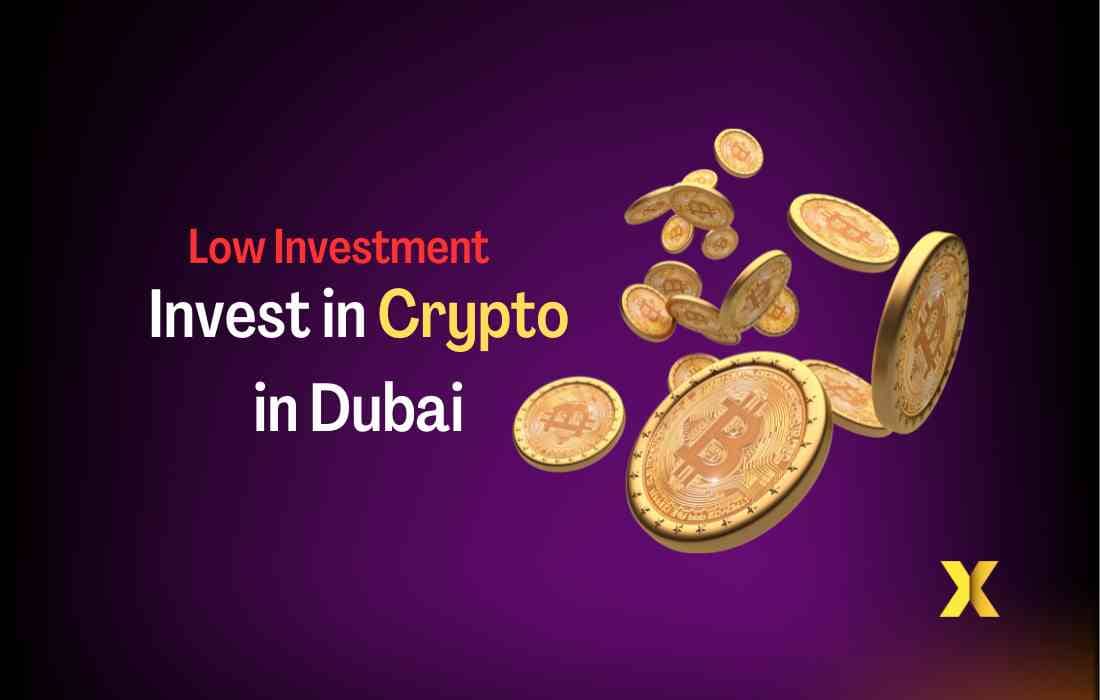 5 Steps How To Invest In Crypto In Dubai,Uae 2023 - DXBIFY