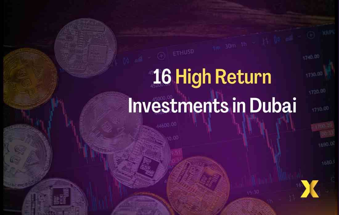 16-investment-options-in-dubai-2023-high-returns-options-dxbify